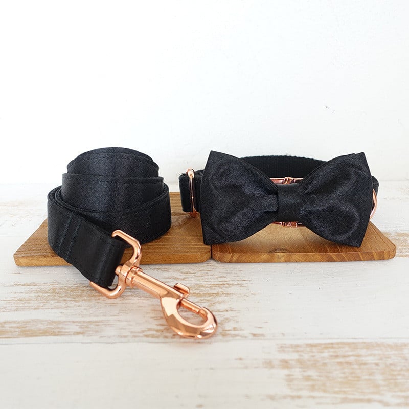 DoggySet: Black Elegant Collar and leash (bowtie included)