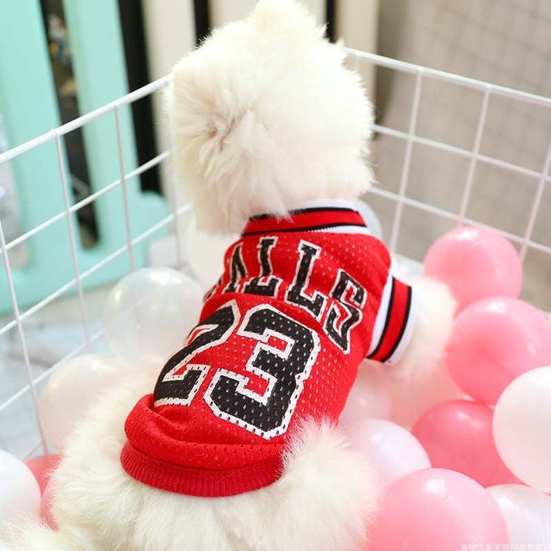 DoggyShirt AirGoat 23