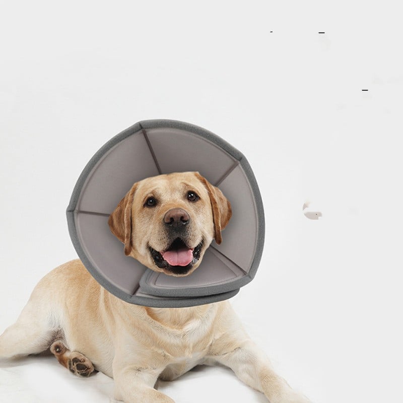 DoggyCone Soft