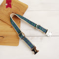 DoggyCollar Highland