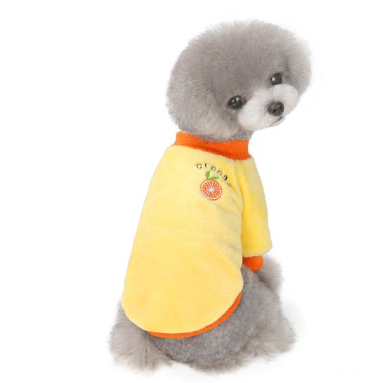 DoggyShirt FruitColors
