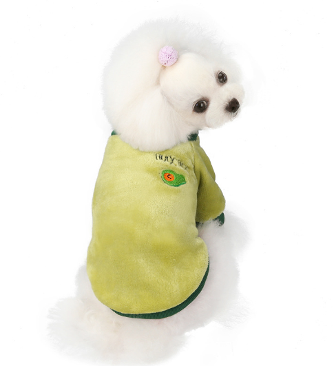DoggyShirt FruitColors