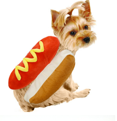 DoggyCostume Hot Dog