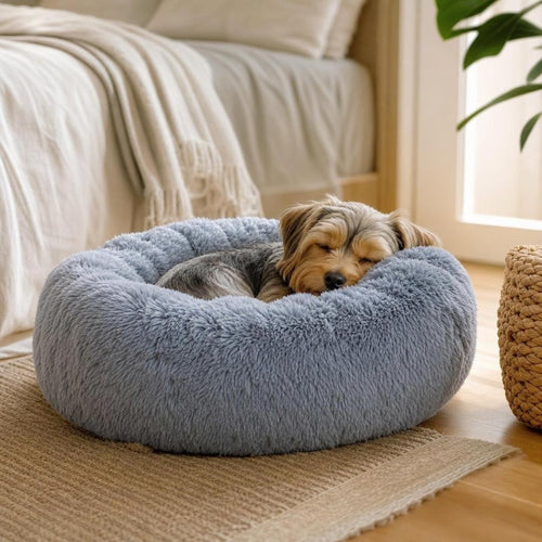 Dog sleeping on DoggyBed Cozy Plush
