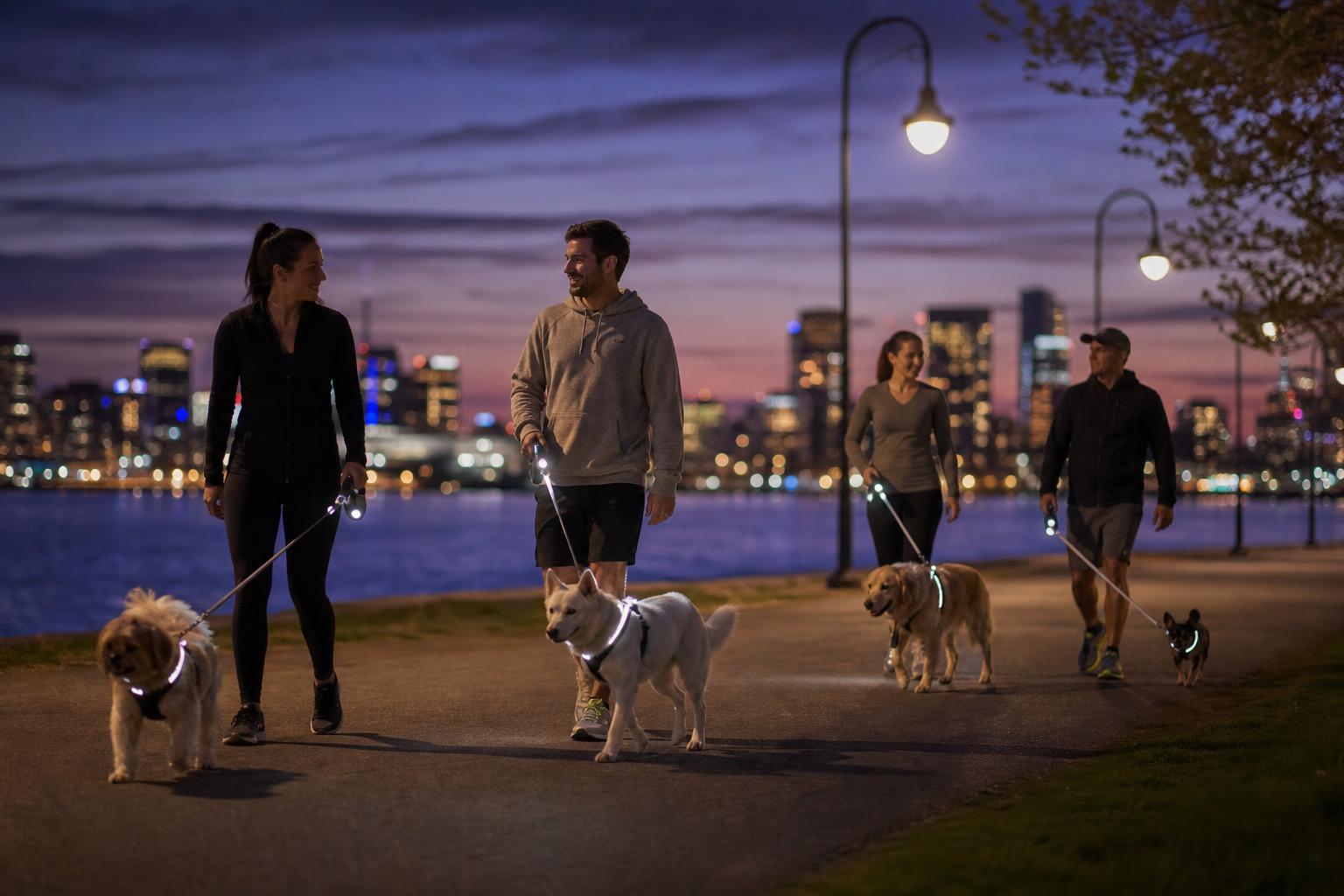People walking dogs at night with reflective and light-up leashes