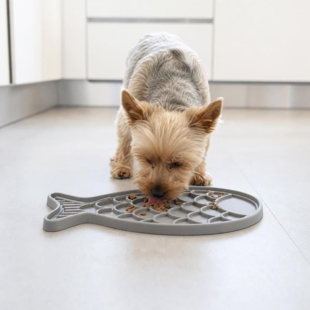 Dog eating from DoggyPlate Slow Eating Fish